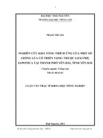 nghiên cứu khả năng thích ứng của một số giống lúa thuộc loài phụ japonica tại thành phố yên bái, tỉnh yên bái