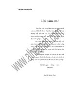 vật liệu vi mao quản