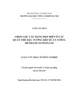 chọn lọc các dạng đột biến ở các quần thể đậu tương khi xử lý ethyl methane sunfonate