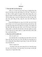 Nghiên cứu đặc điểm biến thiên mực nước biển ven bờ Việt Nam