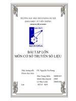 bài tập lớn môn cơ sở truyền số liệu