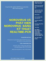 NOROVIRUS và PHÁT HIỆN NOROVIRUS BẰNG kỹ THUẬT REALTIME PCR