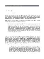 mối quan hệ giữa văn hóa và môi trường