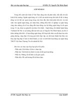 báo cáo thực tập tổng hợp tại NGÂN HÀNG THƯƠNG mại cổ PHẦN VIỆT NAM THƯƠNG tín – CHI NHÁNH hà nội