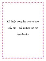 kỹ thuật trồng lan con từ nuôi cấy mô để có hoa lan nở quanh năm