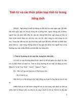 Tính từ và các thức phân loại tính từ trong tiếng Anh