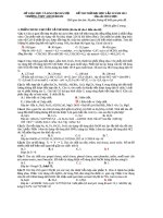 đề thi thử đại học môn hóa chuyên ASTERDAM 2011 co dap an