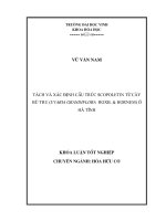 tách và xác định cấu trúc scopoletin từ cây bù tru (uvaria grandiflora roxb. & hornem)