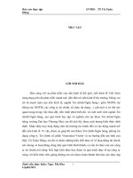 Báo cáo thực tập tổng hợp tại công ty tài chính cổ phần VINACONEX – VIETTEL