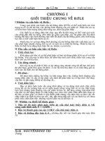 Bảo vệ rơ le trong hệ thống điên