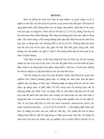 nghiên cứu mối tương quan giữa cấu trúc phân tử và khả năng ức chế ăn mòn kim loại của một số hợp chất