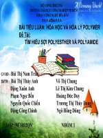 Đề tài: Tìm hiểu sợi polyesther và polyamide