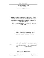 nghiên cứu định lượng camidi(2),chì(2),đồng(2),mangan(2)trong nước thải các phòng thí nghiệm