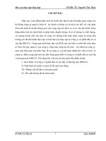 báo cáo thực tập tổng hợp công ty cổ phần đầu tư và xây lắp HIKITA