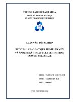 Bước đầu khảo sát quá trình lên men và áp dụng kỹ thuật clea để thu nhận enzyme cellulase