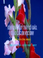 bài 41 môi trường và các nhân tố sinh thái. giáo án bồi dưỡng thao giảng, thi giáo viên giỏi lớp 9 môn sinh học (14)