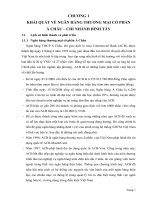 PHÂN TÍCH HIỆU QUẢ HOẠT ĐỘNG CHO VAY  TIÊU DÙNG TẠI NGÂN HÀNG THƯƠNG MẠI  CỔ PHẦN Á CHÂU – CHI NHÁNH BÌNH TÂY