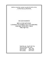 skkn rèn nluyện kĩ năng làm bài văn nghị luận văn chương cho học sinh lớp 9 THCS