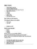 Nghiên cứu vật liệu nội thất  Da thuôc  Simili