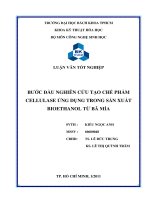 Bước đầu nghiên cứu tạo chế phẩm cellulase ứng dụng trong sản xuất bioethanol từ bã mía