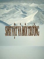 bài 41 môi trường và các nhân tố sinh thái. giáo án bồi dưỡng thao giảng, thi giáo viên giỏi lớp 9 môn sinh học (18)