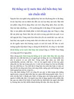 Hệ thống xử lý nước thải chế biến thủy hải sản chuẩn nhất