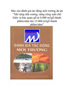 Báo cáo đánh giá tác động môi trường dự án Mở rộng nhà xưởng nâng công suất chế biến và bảo quản gỗ từ 8.000 m3 gỗ thành phẩm/năm lên 15.000 m3 gỗ thành phẩm/năm