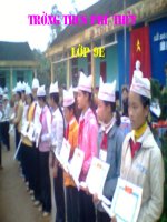 bài 41 môi trường và các nhân tố sinh thái. giáo án bồi dưỡng thao giảng, thi giáo viên giỏi lớp 9 môn sinh học (20)