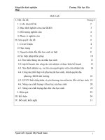 skkn một số biện pháp giúp giáo dục học sinh cá biệt đạt hiệu quả