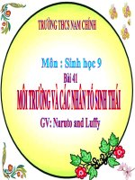 bài 41 môi trường và các nhân tố sinh thái. giáo án bồi dưỡng thao giảng, thi giáo viên giỏi lớp 9 môn sinh học (17)