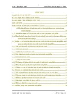 Luận văn tốt nghiệp chuyên ngành kế toán tại công ty mỳ Hàn Quốc