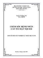 chăm sóc bệnh nhân cắt túi mật nội soi toàn văn