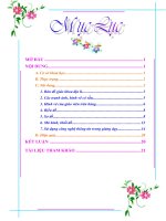 skkn sử DỤNG đồ DÙNG TRỰC QUAN NHẰM PHÁT TRIỂN tư DUY CHO học SINH TRONG GIẢNG dạy địa lí 6