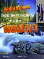 bài 41 môi trường và các nhân tố sinh thái. giáo án bồi dưỡng thao giảng, thi giáo viên giỏi lớp 9 môn sinh học (1)