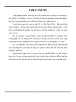 Nghiên cứu tạo loại hạt khoáng dinh dưỡng cho các cây kiểng thủy canh và ứng dụng vào các loại hệ thống thủy canh cây nông