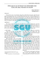 TỔNG QUAN CÁC KĨ THUẬT XÁC ĐỊNH ĐIỂM ẢNH CÙNG SẮC MÀU VỚI MÀU DA NGƯỜI