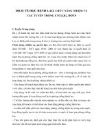 dịch tễ học bệnh lao, chức năng nhiệm vụ các tuyến trong công tác chiến lược quốc gia, dots