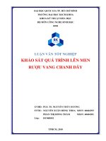 Khảo sát quá trình lên men rượu vang chanh dây