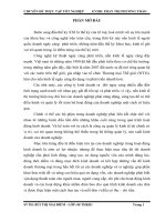 Chuyên đề tốt nghiệp Kế toán vốn bằng tiền và các nghiệp vụ thanh toán tại Công ty CP Xây dựng điện VNECO 11 Đà Nẵng