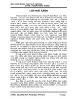 Báo cáo thực tập tốt nghiệp kỹ thuật điện