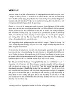 Đồ án phân tích kinh tế hoạt động sản xuất kinh doanh của công ty cổ phần địa tin học việt nam