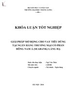 giải pháp mở rộng cho vay tiêu dùng tại ngân hàng thương mại cổ phần đông nam á (seabank) láng hạ
