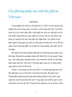 các phương pháp sản xuất bộ giặt tại việt nam