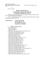 Báo cáo tháng 3 trường TH Tân Hòa