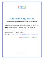 hồ sơ giới thiệu công ty công ty tnhh hệ thống điện và điện toán việt nam