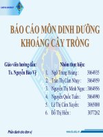 báo cáo môn dinh dưỡng khoáng cây trồng
