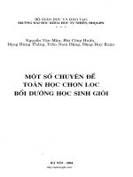 Một số chuyên đề Toán học chọn lọc bồi dưỡng HSG