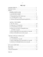 tìm hiểu về cây quất