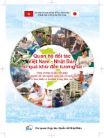 quan hệ đối tác việt nam - nhật bản từ quá khứ đến tương lai