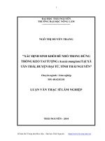 Xác định sinh khối rễ nhỏ trong rừng trồng keo tai tượng (Acacia mangium) tại xã Tân Thái, Huyện Đại Từ, tỉnh Thái Nguyên  Ngô Thị Huyền Trang.